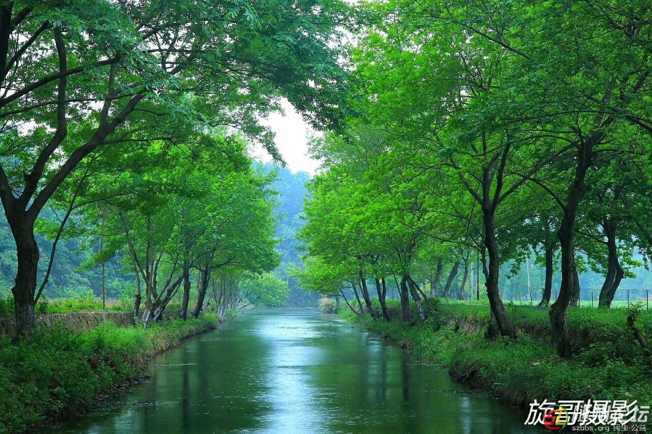 桃源村人工湿地